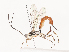  ( - CBG-A40203-H02)  @11 [ ] CreativeCommons - Attribution Share - Alike (2024) CBG Photography Group Centre for Biodiversity Genomics