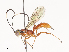  ( - CBG-A40204-C04)  @11 [ ] CreativeCommons - Attribution Share - Alike (2024) CBG Photography Group Centre for Biodiversity Genomics