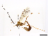  ( - CBG-A40233-A09)  @11 [ ] CreativeCommons - Attribution Share-Alike (2024) CBG Photography Group Centre for Biodiversity Genomics