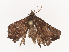  ( - CBG-A40233-C03)  @11 [ ] CreativeCommons - Attribution Share - Alike (2024) CBG Photography Group Centre for Biodiversity Genomics