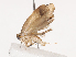  ( - CBG-A40233-E03)  @11 [ ] CreativeCommons - Attribution Share - Alike (2024) CBG Photography Group Centre for Biodiversity Genomics