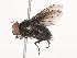  ( - CBG-A40234-A05)  @11 [ ] CreativeCommons - Attribution Share - Alike (2024) CBG Photography Group Centre for Biodiversity Genomics