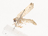  ( - CBG-A40235-E02)  @11 [ ] CreativeCommons - Attribution Share - Alike (2024) CBG Photography Group Centre for Biodiversity Genomics