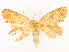  ( - CBG-A40235-F09)  @11 [ ] CreativeCommons - Attribution Share - Alike (2024) CBG Photography Group Centre for Biodiversity Genomics