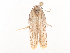  ( - CBG-A40236-D01)  @11 [ ] CreativeCommons - Attribution Share - Alike (2024) CBG Photography Group Centre for Biodiversity Genomics