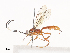  ( - CBG-A40236-D07)  @11 [ ] CreativeCommons - Attribution Share - Alike (2024) CBG Photography Group Centre for Biodiversity Genomics