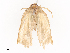  ( - CBG-A40238-C10)  @11 [ ] CreativeCommons - Attribution Share - Alike (2024) CBG Photography Group Centre for Biodiversity Genomics