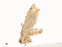  ( - CBG-A40239-F07)  @11 [ ] CreativeCommons - Attribution Share - Alike (2024) CBG Photography Group Centre for Biodiversity Genomics