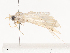  ( - CBG-A40240-G09)  @11 [ ] CreativeCommons - Attribution Share - Alike (2024) CBG Photography Group Centre for Biodiversity Genomics