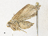  ( - CBG-A38470-F06)  @11 [ ] CreativeCommons - Attribution Share - Alike (2024) CBG Photography Group Centre for Biodiversity Genomics