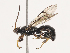  ( - CBG-A40194-G02)  @11 [ ] CreativeCommons - Attribution Share - Alike (2024) CBG Photography Group Centre for Biodiversity Genomics