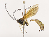  ( - CBG-A40194-G03)  @11 [ ] CreativeCommons - Attribution Share - Alike (2024) CBG Photography Group Centre for Biodiversity Genomics