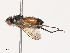  ( - CBG-A40194-H03)  @11 [ ] CreativeCommons - Attribution Share - Alike (2024) CBG Photography Group Centre for Biodiversity Genomics