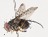  ( - CBG-A40195-C12)  @11 [ ] CreativeCommons - Attribution Share - Alike (2024) CBG Photography Group Centre for Biodiversity Genomics