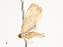 ( - CBG-A40196-B01)  @11 [ ] CreativeCommons - Attribution Share - Alike (2024) CBG Photography Group Centre for Biodiversity Genomics