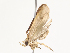  ( - CBG-A40196-B02)  @11 [ ] CreativeCommons - Attribution Share - Alike (2024) CBG Photography Group Centre for Biodiversity Genomics
