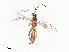  ( - CBG-A40196-B11)  @11 [ ] CreativeCommons - Attribution Share - Alike (2024) CBG Photography Group Centre for Biodiversity Genomics