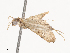  ( - CBG-A40196-D12)  @11 [ ] CreativeCommons - Attribution Share - Alike (2024) CBG Photography Group Centre for Biodiversity Genomics