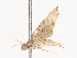  ( - CBG-A40196-E04)  @11 [ ] CreativeCommons - Attribution Share - Alike (2024) CBG Photography Group Centre for Biodiversity Genomics
