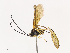  ( - CBG-A40197-B03)  @11 [ ] CreativeCommons - Attribution Share - Alike (2024) CBG Photography Group Centre for Biodiversity Genomics