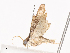  ( - CBG-A40198-D07)  @11 [ ] CreativeCommons - Attribution Share - Alike (2024) CBG Photography Group Centre for Biodiversity Genomics