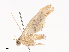  ( - CBG-A40198-F11)  @11 [ ] CreativeCommons - Attribution Share - Alike (2024) CBG Photography Group Centre for Biodiversity Genomics