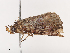  ( - CBG-A40217-B05)  @11 [ ] CreativeCommons - Attribution Share - Alike (2024) CBG Photography Group Centre for Biodiversity Genomics
