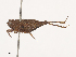  ( - CBG-A40217-E01)  @11 [ ] CreativeCommons - Attribution Share - Alike (2024) CBG Photography Group Centre for Biodiversity Genomics