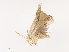  ( - CBG-A40220-G08)  @11 [ ] CreativeCommons - Attribution Share - Alike (2024) CBG Photography Group Centre for Biodiversity Genomics