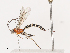  ( - CBG-A40220-H07)  @11 [ ] CreativeCommons - Attribution Share - Alike (2024) CBG Photography Group Centre for Biodiversity Genomics