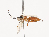  ( - CBG-A40222-D10)  @11 [ ] CreativeCommons - Attribution Share - Alike (2024) CBG Photography Group Centre for Biodiversity Genomics