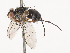  ( - CBG-A40222-G08)  @11 [ ] CreativeCommons - Attribution Share - Alike (2024) CBG Photography Group Centre for Biodiversity Genomics