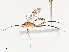  ( - CBG-A40079-A06)  @11 [ ] CreativeCommons - Attribution Share - Alike (2024) CBG Photography Group Centre for Biodiversity Genomics