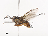  ( - CBG-A40080-C07)  @11 [ ] CreativeCommons - Attribution Share - Alike (2024) CBG Photography Group Centre for Biodiversity Genomics