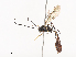  ( - CBG-A40080-E06)  @11 [ ] CreativeCommons - Attribution Share - Alike (2024) CBG Photography Group Centre for Biodiversity Genomics