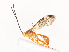 ( - CBG-A40080-H01)  @11 [ ] CreativeCommons - Attribution Share - Alike (2024) CBG Photography Group Centre for Biodiversity Genomics