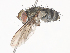  ( - CBG-A41833-C12)  @11 [ ] CreativeCommons - Attribution Share - Alike (2024) CBG Photography Group Centre for Biodiversity Genomics