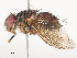  ( - CBG-A41834-A08)  @11 [ ] CreativeCommons - Attribution Share - Alike (2024) CBG Photography Group Centre for Biodiversity Genomics