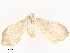  ( - CBG-A41834-D09)  @11 [ ] CreativeCommons - Attribution Share - Alike (2024) CBG Photography Group Centre for Biodiversity Genomics