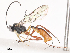  ( - CBG-A41834-G05)  @11 [ ] CreativeCommons - Attribution Share - Alike (2024) CBG Photography Group Centre for Biodiversity Genomics