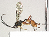  ( - CBG-A41834-G10)  @11 [ ] CreativeCommons - Attribution (2024) CBG Photography Group Centre for Biodiversity Genomics