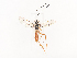  ( - CBG-A41835-B03)  @11 [ ] CreativeCommons - Attribution Share - Alike (2024) CBG Photography Group Centre for Biodiversity Genomics