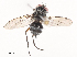  ( - CBG-A41835-F10)  @11 [ ] CreativeCommons - Attribution Share - Alike (2024) CBG Photography Group Centre for Biodiversity Genomics