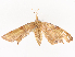  ( - CBG-A41836-C08)  @11 [ ] CreativeCommons - Attribution Share - Alike (2024) CBG Photography Group Centre for Biodiversity Genomics