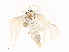  ( - CBG-A41836-C10)  @11 [ ] CreativeCommons - Attribution Share - Alike (2024) CBG Photography Group Centre for Biodiversity Genomics