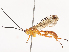  ( - CBG-A41837-H06)  @11 [ ] CreativeCommons - Attribution Share - Alike (2024) CBG Photography Group Centre for Biodiversity Genomics