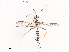  ( - CBG-A41838-E09)  @11 [ ] CreativeCommons - Attribution Share - Alike (2024) CBG Photography Group Centre for Biodiversity Genomics