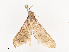  ( - CBG-A41839-A04)  @11 [ ] CreativeCommons - Attribution Share - Alike (2024) CBG Photography Group Centre for Biodiversity Genomics