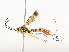  ( - CBG-A41839-E01)  @11 [ ] CreativeCommons - Attribution Share - Alike (2024) CBG Photography Group Centre for Biodiversity Genomics
