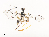  ( - CBG-A41839-E02)  @11 [ ] CreativeCommons - Attribution Share - Alike (2024) CBG Photography Group Centre for Biodiversity Genomics